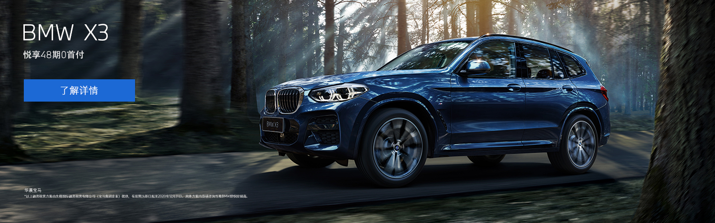 新BMW X3